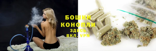 винт Алексин