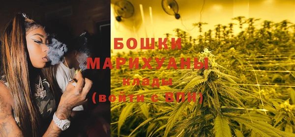 гидропоника Алзамай
