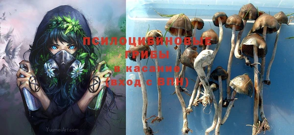 винт Алексин
