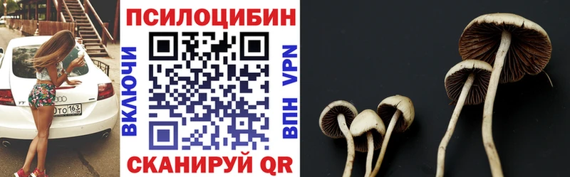 Псилоцибиновые грибы Psilocybe  Сенгилей 