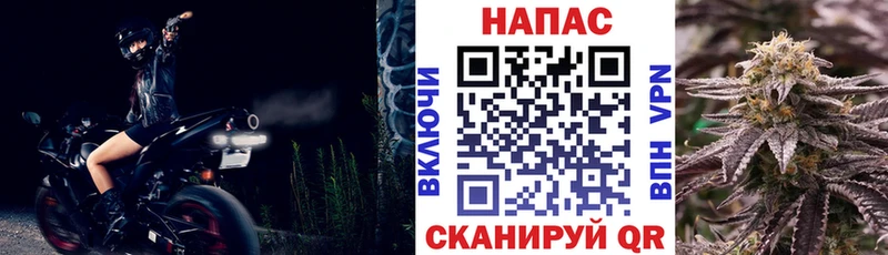 Бошки Шишки SATIVA & INDICA  купить   Сенгилей 